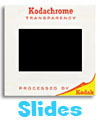 easy slide preparation instructions, tips