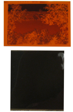 medium-format-film-120-220-conversion-cd-dvd