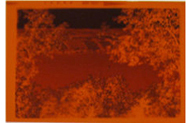 Medium Format Film Negative scanning, best pricing, sale pricing, digital conversion, to CD, DVD, Computer, PC, or Mac