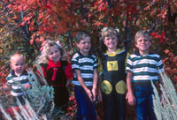 Examples Digital Color Correction Restoration