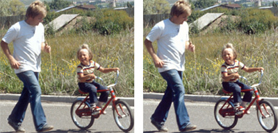 Nikon 5000 & Nikon 9000 Professional Example